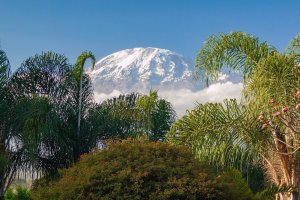 Kilimanjaro Berg
